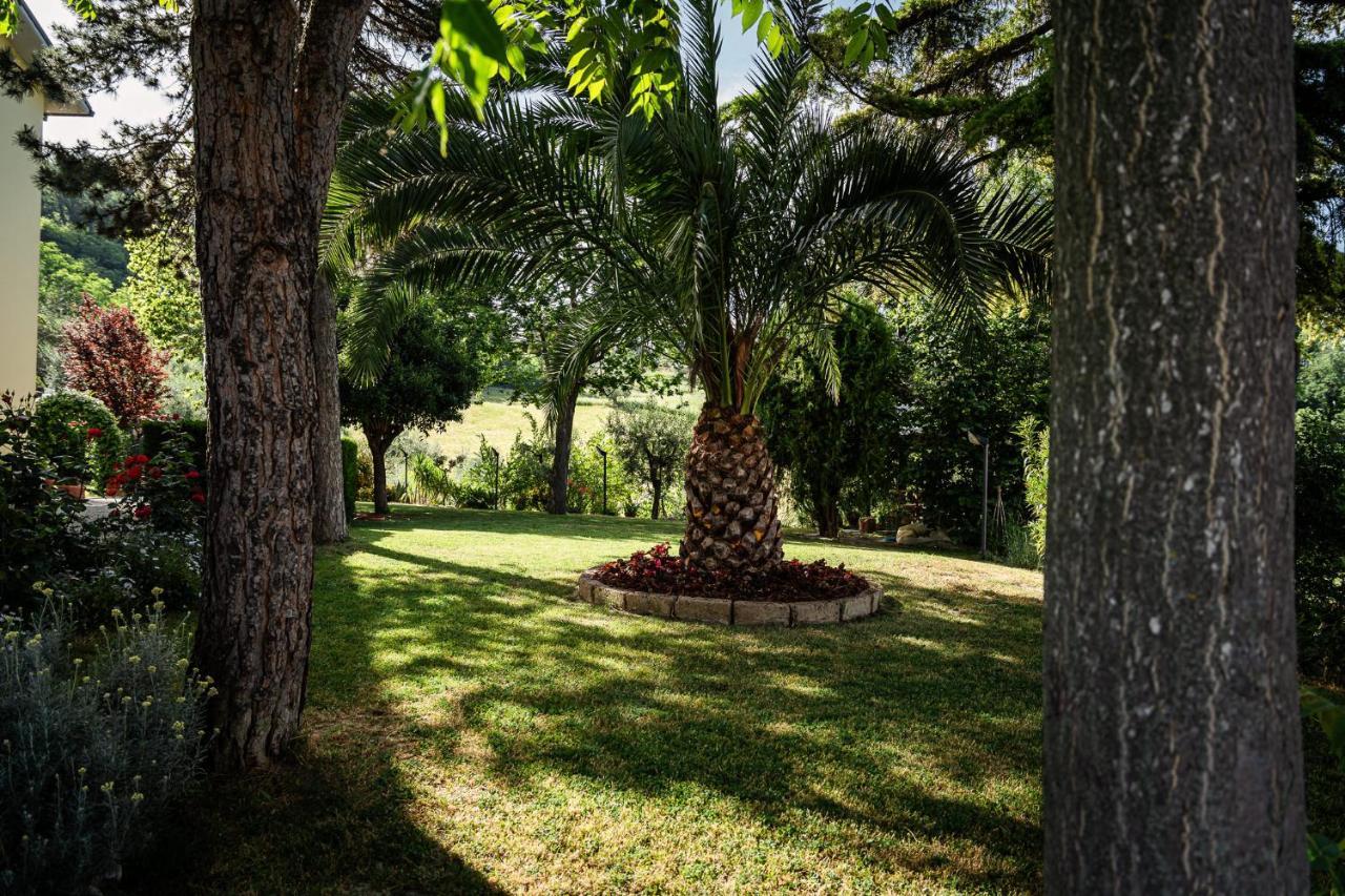 Il Girasole Basciano Exterior foto