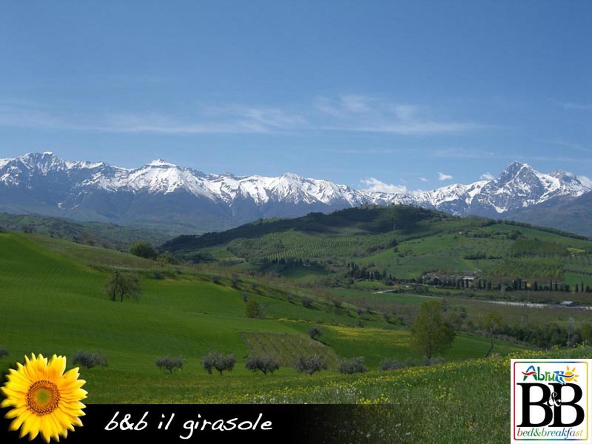 Il Girasole Basciano Exterior foto