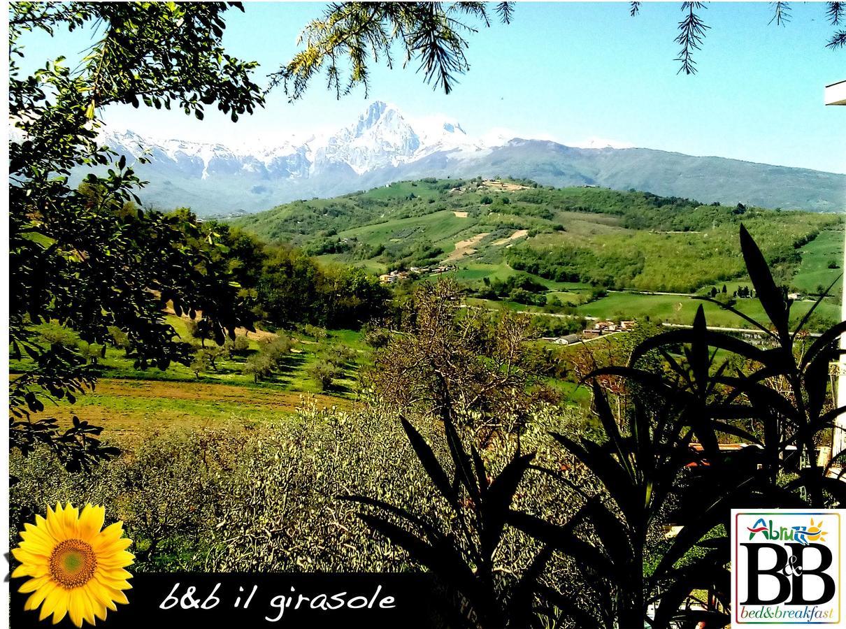 Il Girasole Basciano Exterior foto